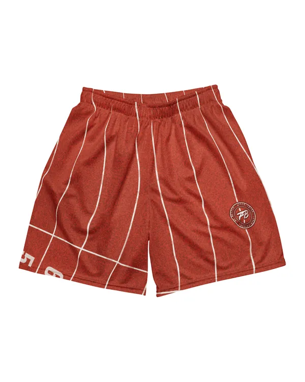 Mesh Shorts in Lanes